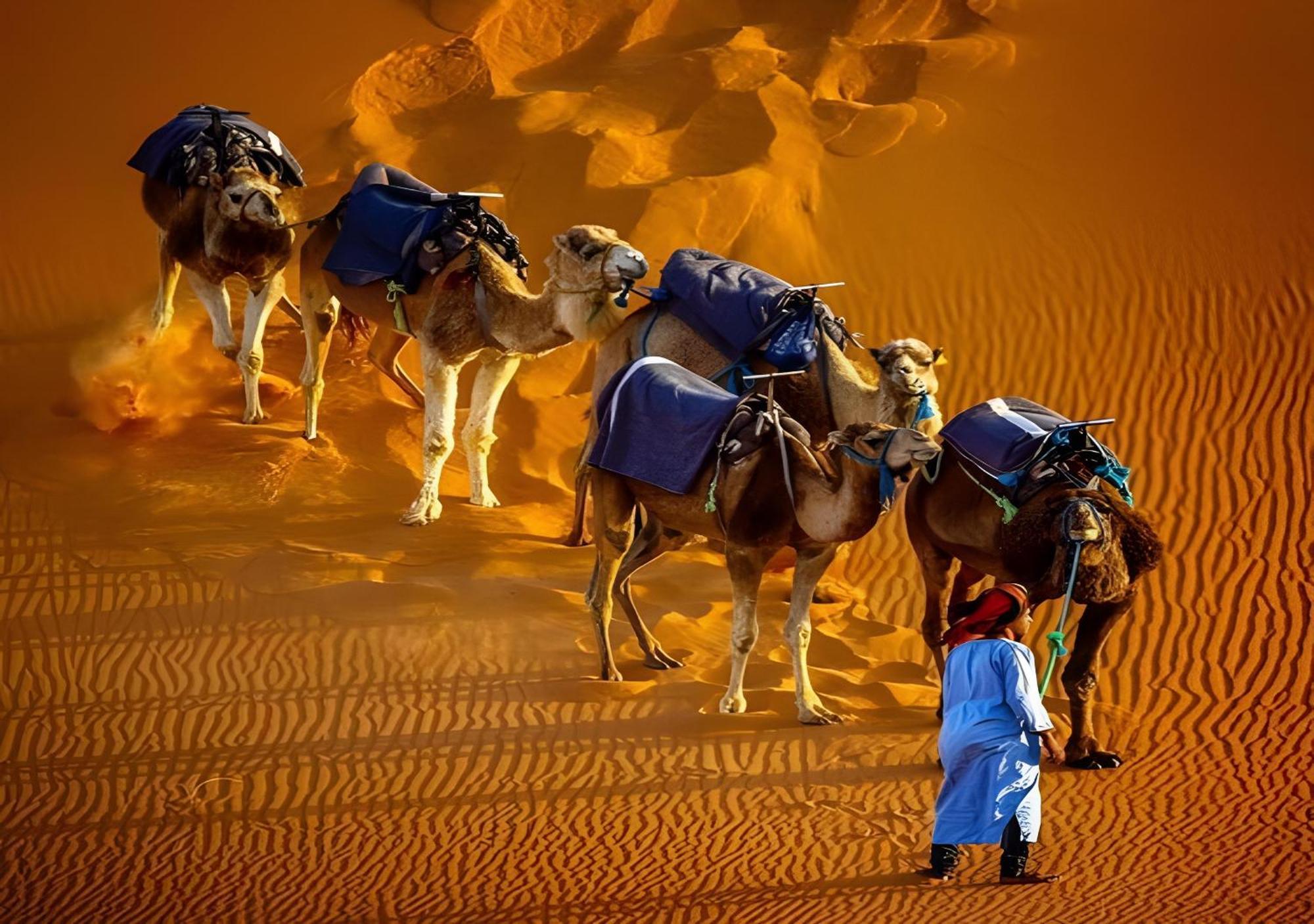 Luxury Camp Erg Chebbi Hotel Merzouga Ngoại thất bức ảnh