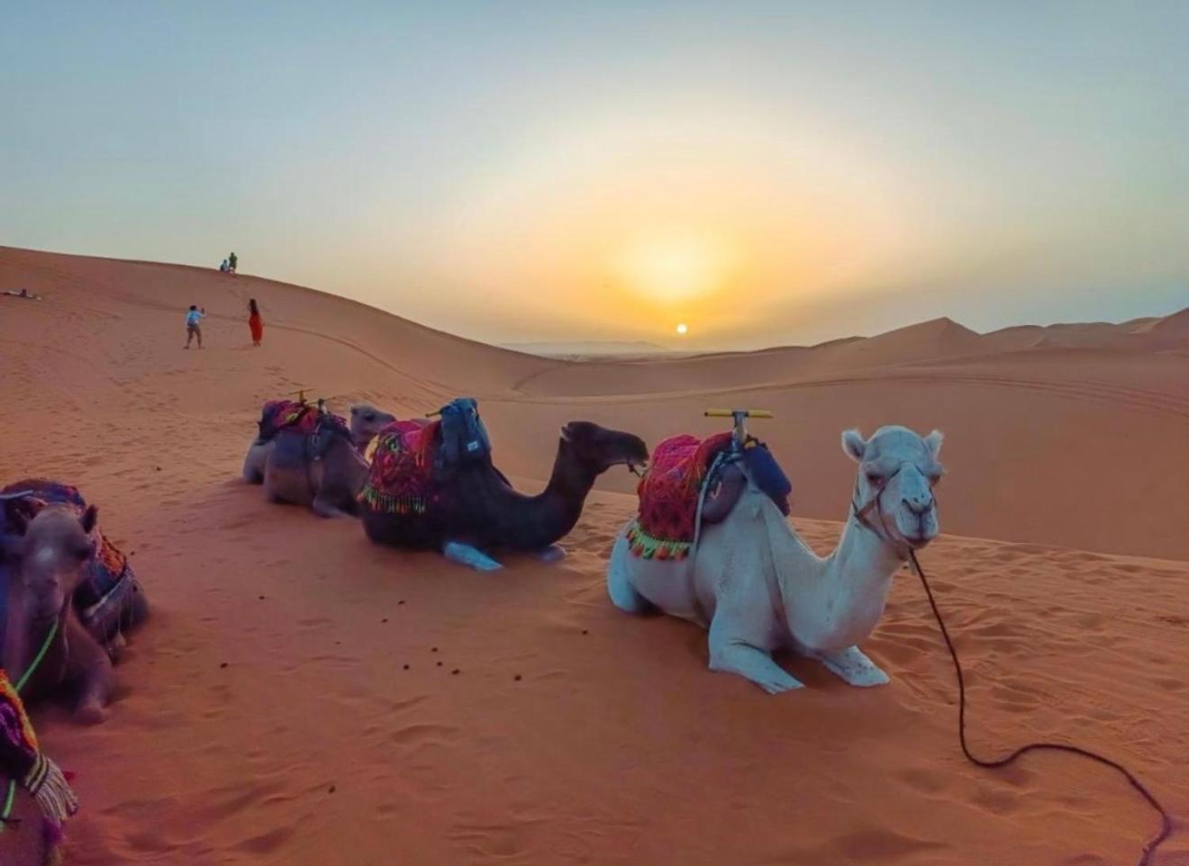 Luxury Camp Erg Chebbi Hotel Merzouga Ngoại thất bức ảnh